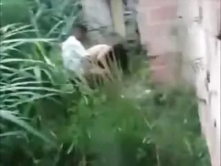 Tara top 10 diễn viên sex nhật Ashley Whitey, tôi không hiểu.
